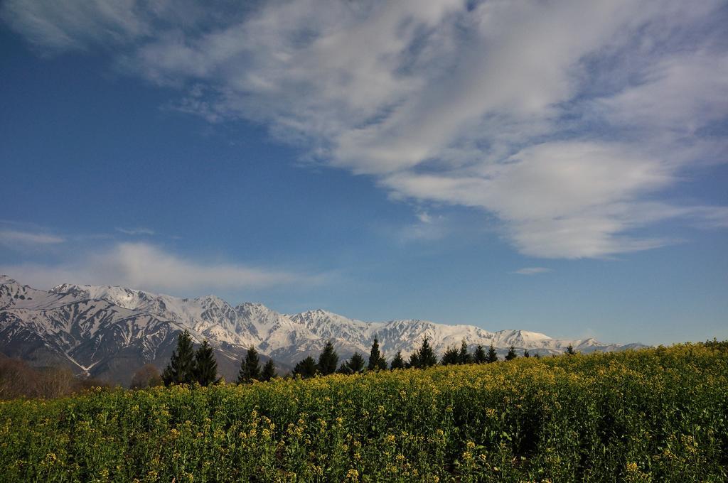 Lodge Nostalgia Hakuba Dış mekan fotoğraf