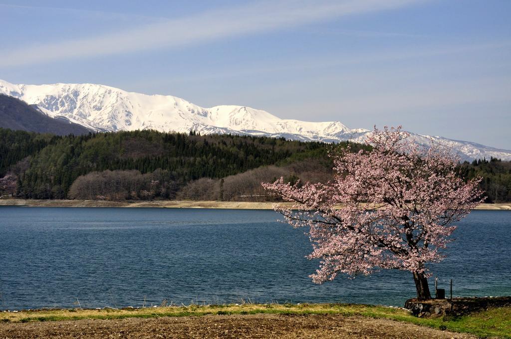 Lodge Nostalgia Hakuba Dış mekan fotoğraf