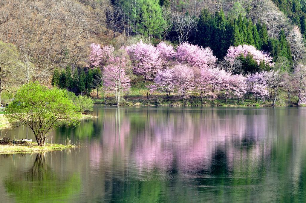 Lodge Nostalgia Hakuba Dış mekan fotoğraf