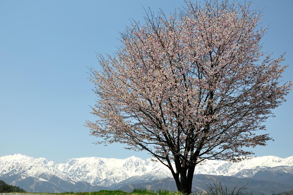 Lodge Nostalgia Hakuba Dış mekan fotoğraf