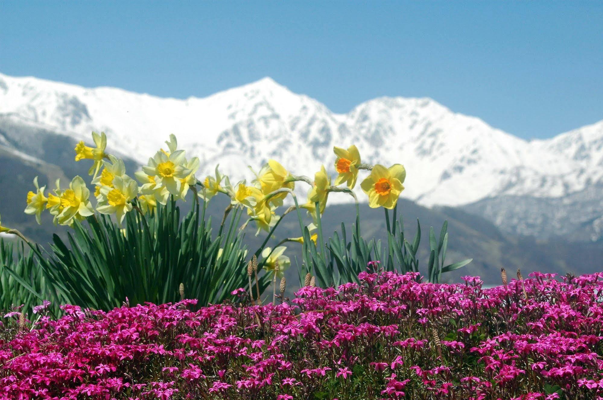 Lodge Nostalgia Hakuba Dış mekan fotoğraf